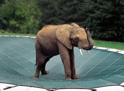 LOOP-LOC supports the weight of an elephant